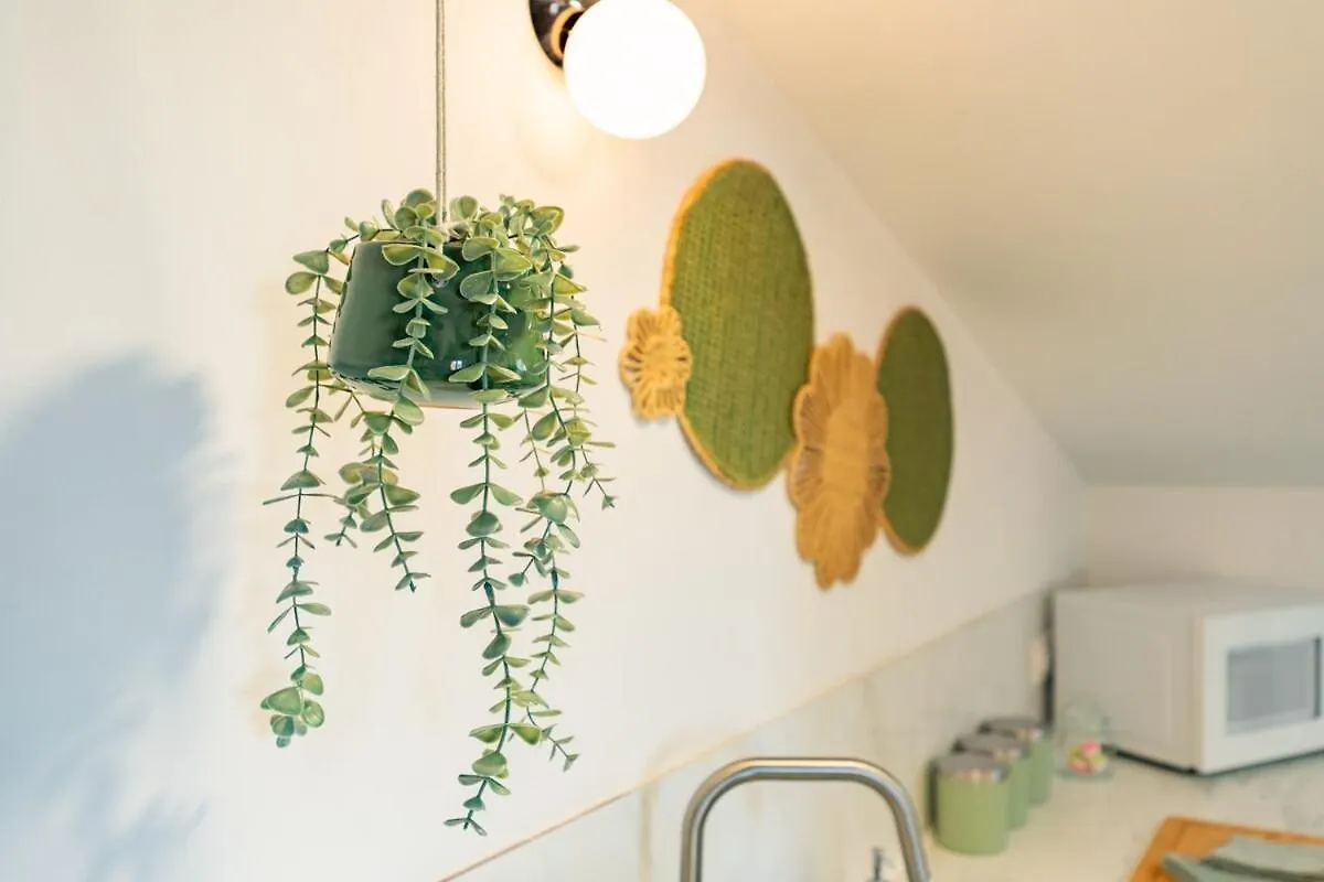 Les Toits De Roquelaine - Bright & Cozy Studio Toulouse Apartmán